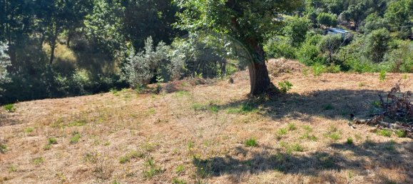 2 bedrooms House in Figueiro dos Vinhos, Portugal No. 18867 11