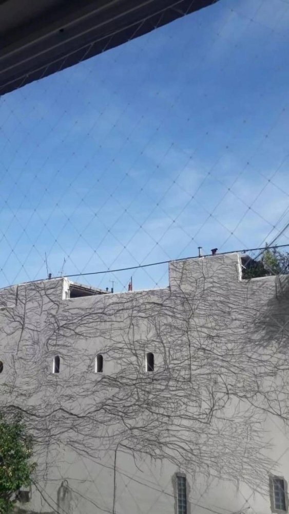 Studio in Buenos Aires, Argentina, Nr. 77686