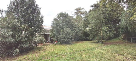 Дом с 5 спальнями в Риу ди Мору, Португалия № 53090 15