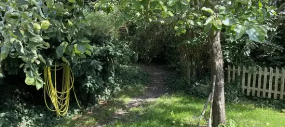 Casa de 5 divisões em Gorlitz, Germany N.º 306406 6