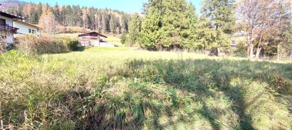 Studio in Domegge di Cadore, Italy, Nr. 146027 4