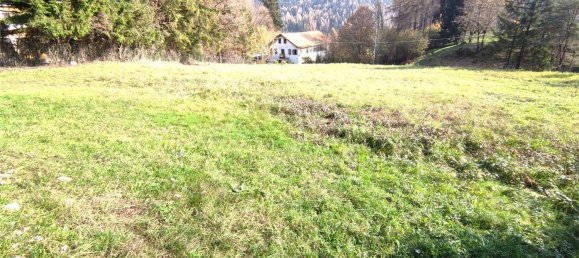 Studio in Domegge di Cadore, Italy, Nr. 146027 2