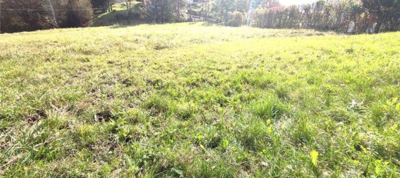 Studio in Domegge di Cadore, Italy, Nr. 146027 3