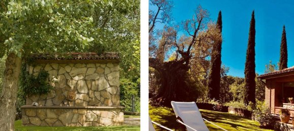 10 rooms Villa in Monteleone d'Orvieto, Italy No. 52858 5