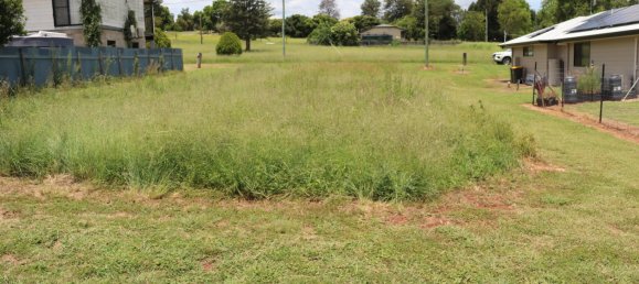 799m² Land in Tingoora, Australia No. 882 13