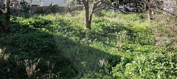 3 bedrooms House in Aljubarrota, Portugal No. 178654 23