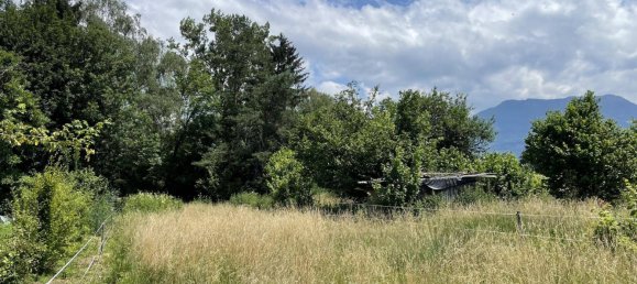 Grundstück in Lustenau, Austria 3292m², Nr. 65944 5