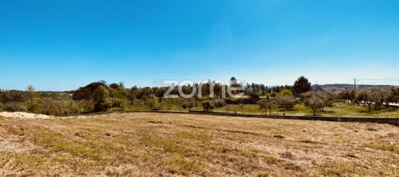 5 bedrooms House in Soure, Portugal No. 19159 20