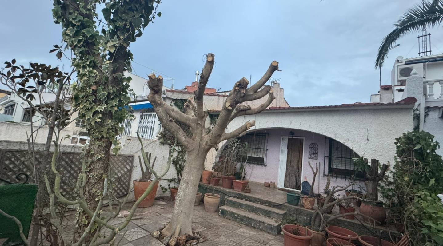 2 bedrooms Bungalow in Ciudad Quesada, Spain No. 213316