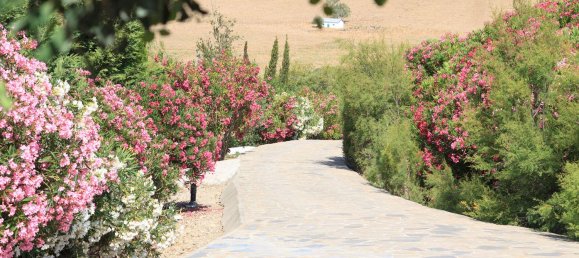 6 chambres Maison à San Martin del Tesorillo, Spain No. 25588 30