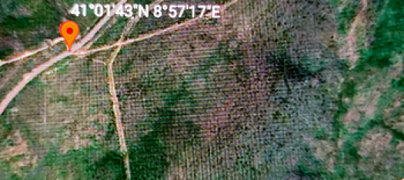  قطعة أرض في Trinità d'Agultu e Vignola, Italy 100000متر مربع رقم 281790 3