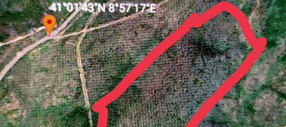  قطعة أرض في Trinità d'Agultu e Vignola, Italy 100000متر مربع رقم 281790 2