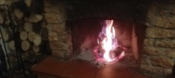 Gewerbliche Immobilie in Reichenau, Austria 146m², Nr. 135509 11