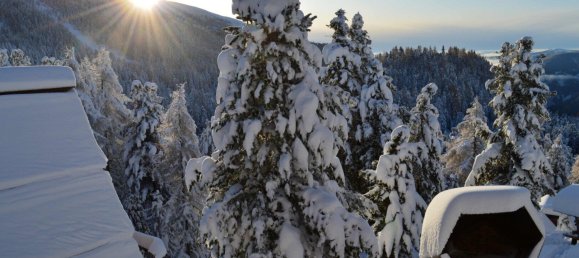 Gewerbliche Immobilie in Reichenau, Austria 146m², Nr. 135509 9