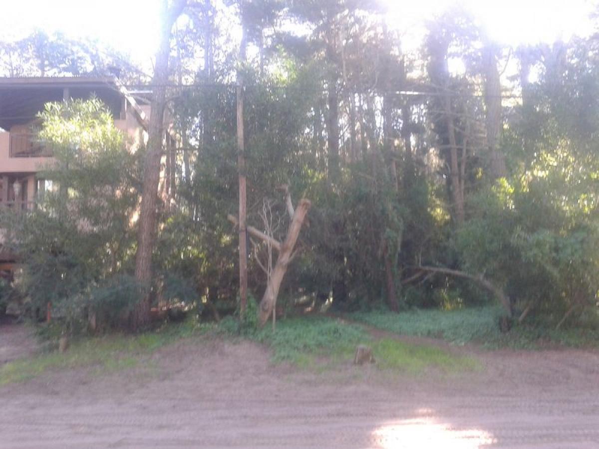  Land in Mar del Plata, Argentina No. 112667