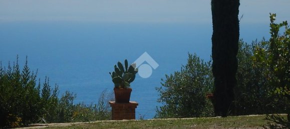 4 Schlafzimmer Villa in Cipressa, Italy, Nr. 89975 46