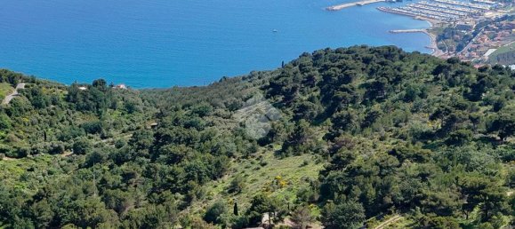 4 Schlafzimmer Villa in Cipressa, Italy, Nr. 89975 5