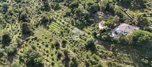 4 Schlafzimmer Villa in Cipressa, Italy, Nr. 89975 8