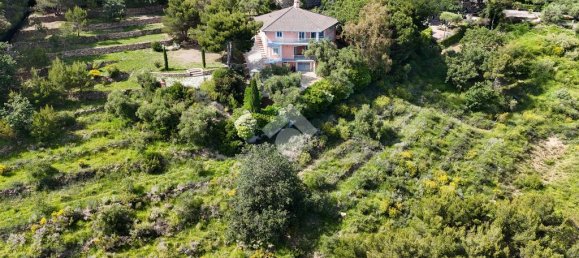 4 Schlafzimmer Villa in Cipressa, Italy, Nr. 89975 7