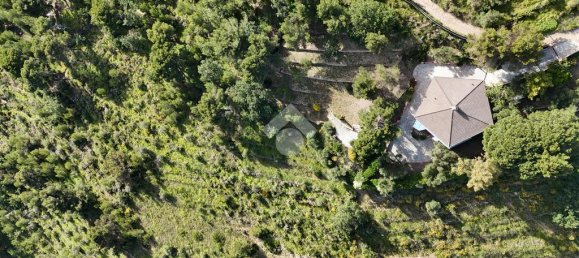 4 Schlafzimmer Villa in Cipressa, Italy, Nr. 89975 42