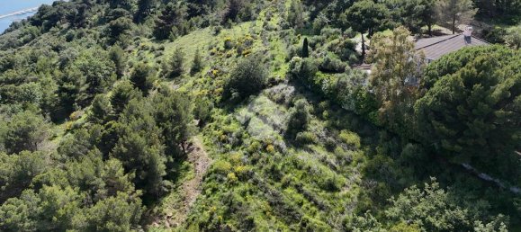 4 Schlafzimmer Villa in Cipressa, Italy, Nr. 89975 41