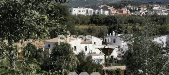 3 bedrooms House in Alcaucin, Spain No. 54819 23