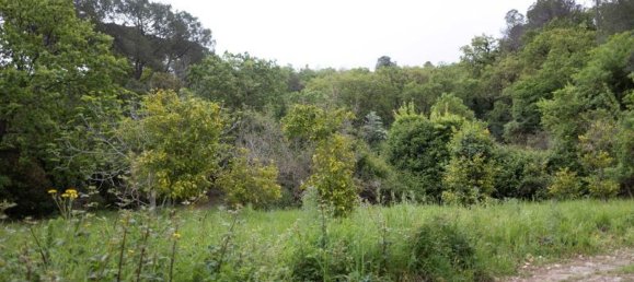 10 rooms Villa in Cefalù, Italy No. 126279 15