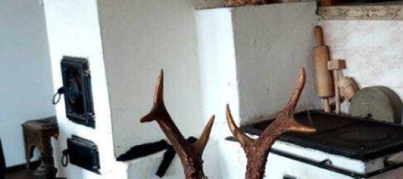 7غرفة منزل في Winden am See, Austria رقم 153261 19