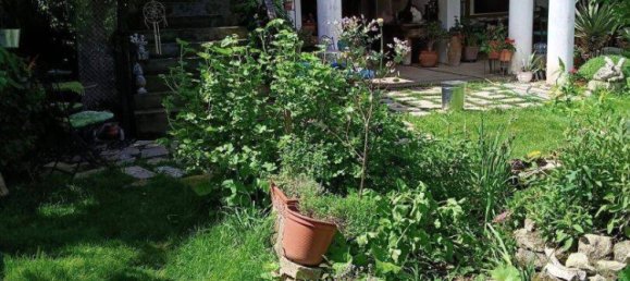 7غرفة منزل في Winden am See, Austria رقم 153261 26