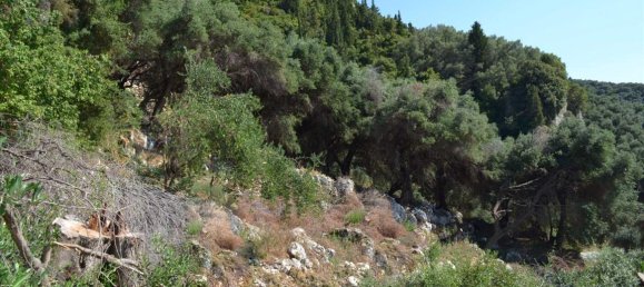 Hotel en Corfu, Greece 6260 m² No. 6206 18