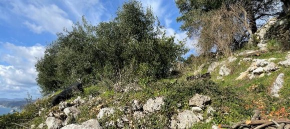 Hotel en Corfu, Greece 6260 m² No. 6206 20