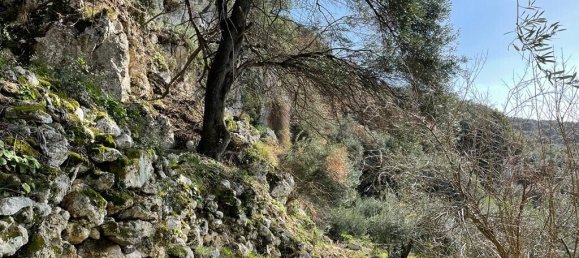 Hotel en Corfu, Greece 6260 m² No. 6206 9