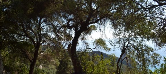 Hotel en Corfu, Greece 6260 m² No. 6206 22