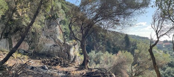 Hotel en Corfu, Greece 6260 m² No. 6206 5