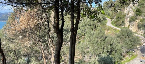 Hotel en Corfu, Greece 6260 m² No. 6206 10