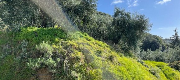 Hotel en Corfu, Greece 6260 m² No. 6206 25