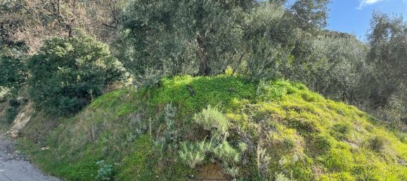6260 m² hotel en venta en Corfu, Central Corfu and Diapontian Islands, Corfu, Ionian Islands, Peloponnese, Western Greece and the Ionian, Greece № 6206 26