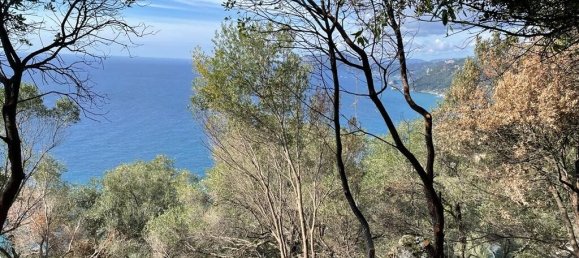 Hotel en Corfu, Greece 6260 m² No. 6206 13