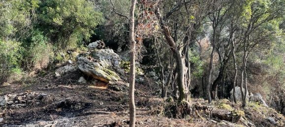 Hotel en Corfu, Greece 6260 m² No. 6206 4