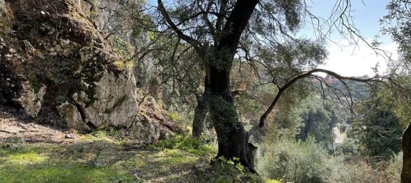 Hotel en Corfu, Greece 6260 m² No. 6206 12