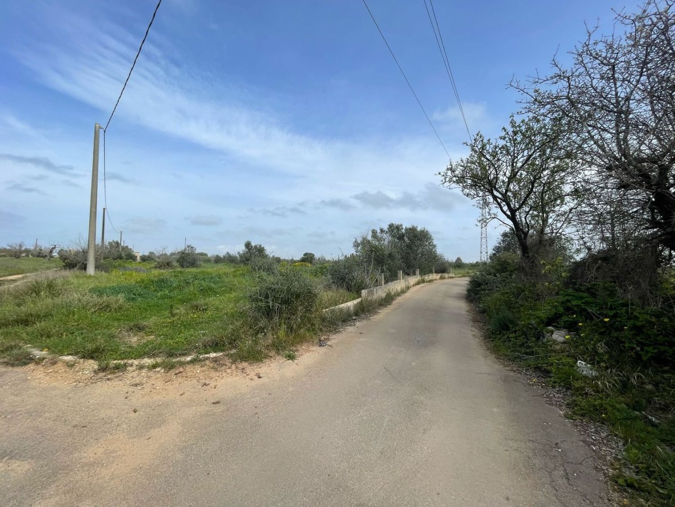 15540m² Land in Gallipoli, Italy No. 65960