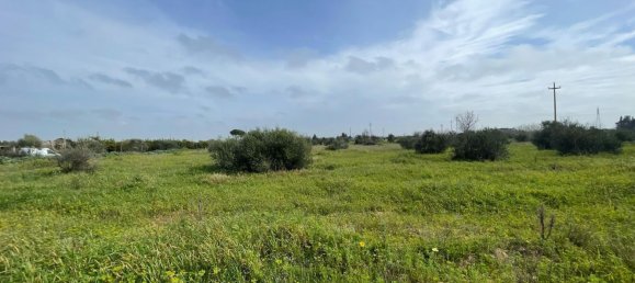 15540m² Land in Gallipoli, Italy No. 65960 9