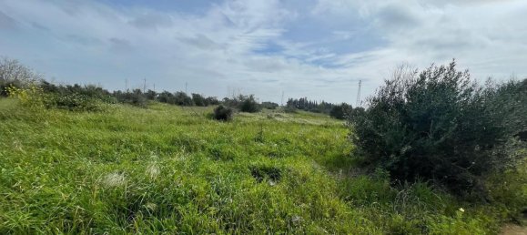 15540m² Land in Gallipoli, Italy No. 65960 7