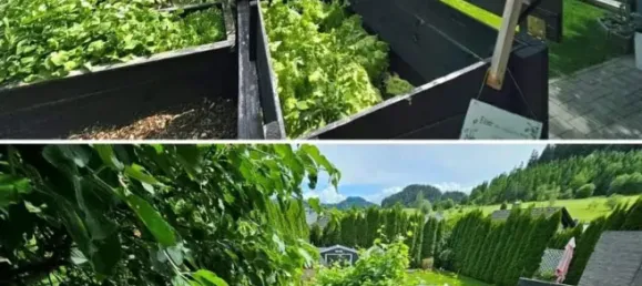 7 rooms House in St. Georgen am Langsee, Austria No. 210469 9