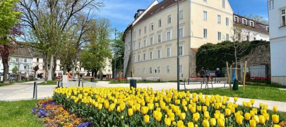 2غرفة منزل ذو طابقين في Wels, Austria رقم 230039 16