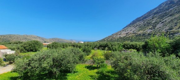 4 bedrooms Commercial property in Ierapetra, Greece No. 3677 11