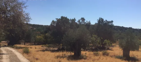 2 Schlafzimmer Haus in Loule, Portugal, Nr. 76441 16