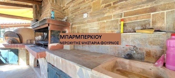 Коммерческая недвижимость с 3 спальнями в Мегара, Западная Аттика, Аттика, Греция № 6065 15