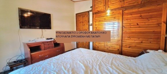 Коммерческая недвижимость с 3 спальнями в Мегара, Западная Аттика, Аттика, Греция № 6065 24