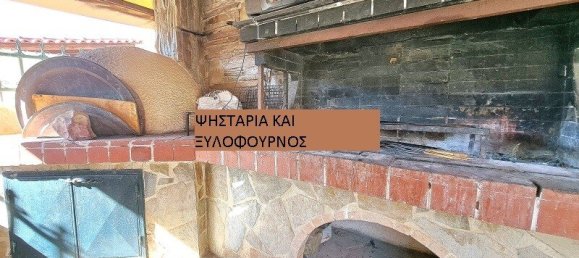 Коммерческая недвижимость с 3 спальнями в Мегара, Западная Аттика, Аттика, Греция № 6065 27
